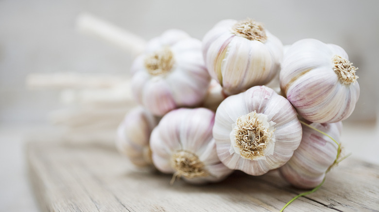 Bunch of garlic