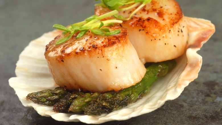 Scallops cooked on a shell