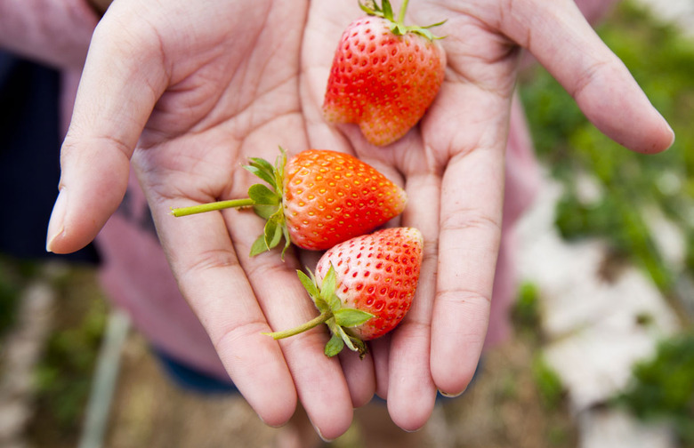 Strawberries