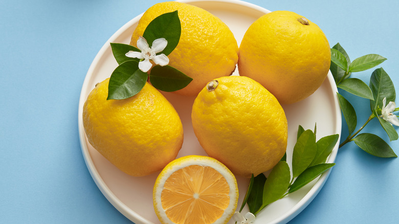 Plate of lemons and leaves