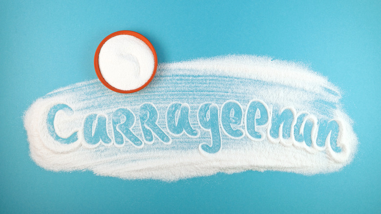 Carrageenan powder spread across surface