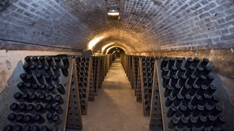 champagne bottles in a cellar