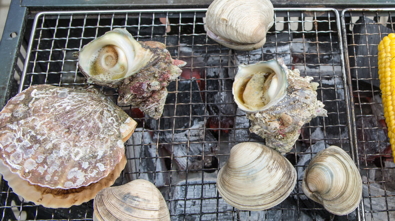 clams and other mollusks on a grill