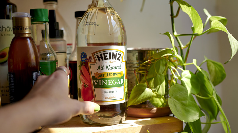 white vinegar