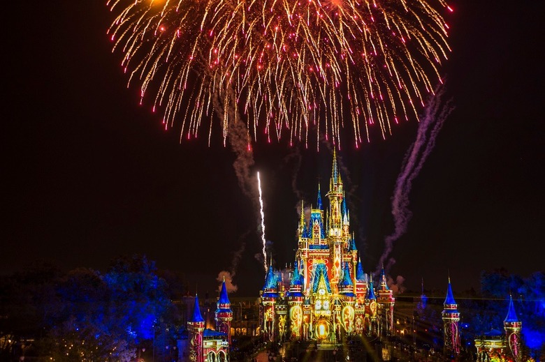 I Go to Disney World Every Year, Here Are My Top Tips