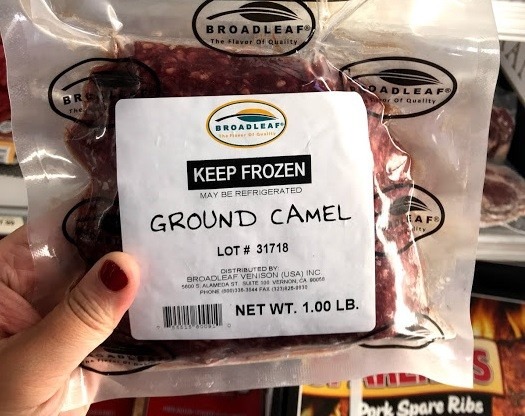 Ground camel