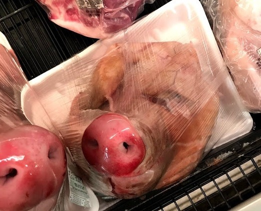 Pig heads