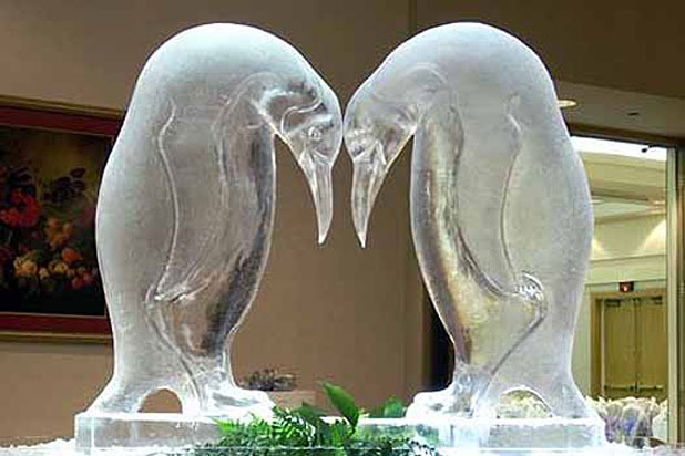 A Bird to Rival the Swan: Full Spectrum Ice Sculptures