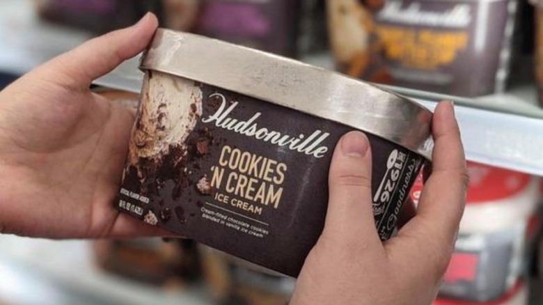 hands holding Hudsonville ice cream