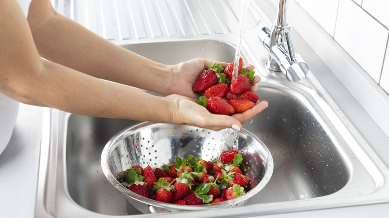 washing strawberries in sink