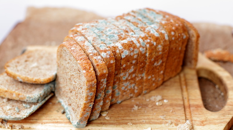 sliced loaf of moldy bread