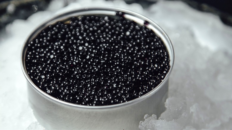 black caviar bowl on ice