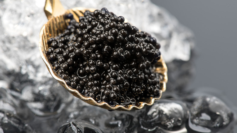 shell spoonful of black caviar