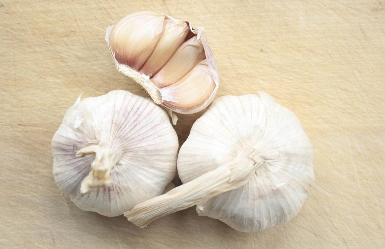 Garlic