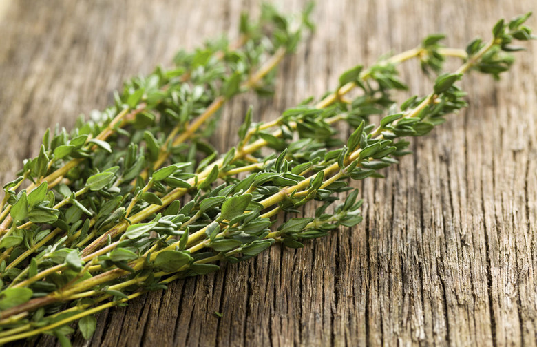 Thyme