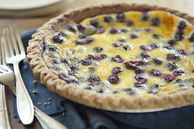 Blueberry Sour Cream Pie