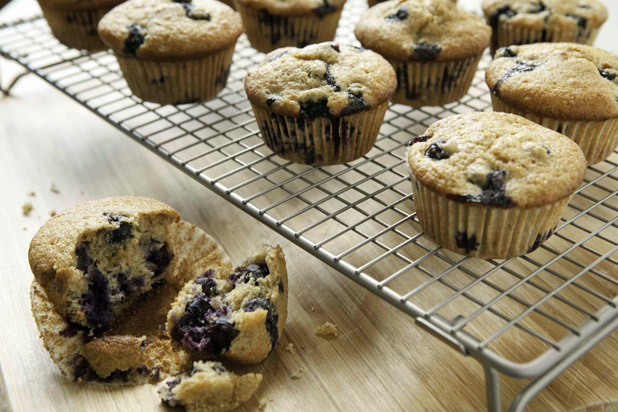 Blueberry Spelt Muffins