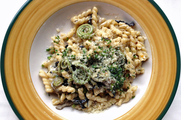 Fiddlehead Spring Pasta