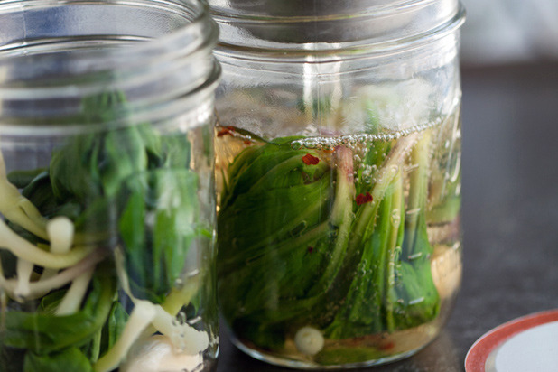 Pickled Ramps