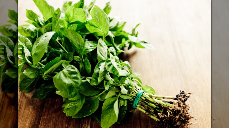 bouquet of fresh basil