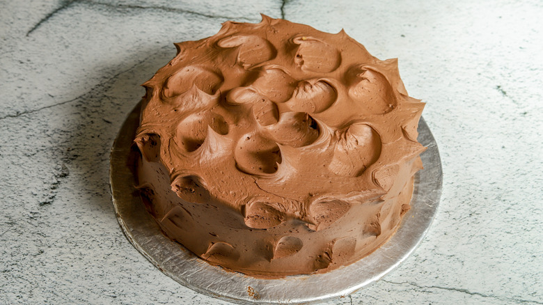 Chocolate cake on a plate