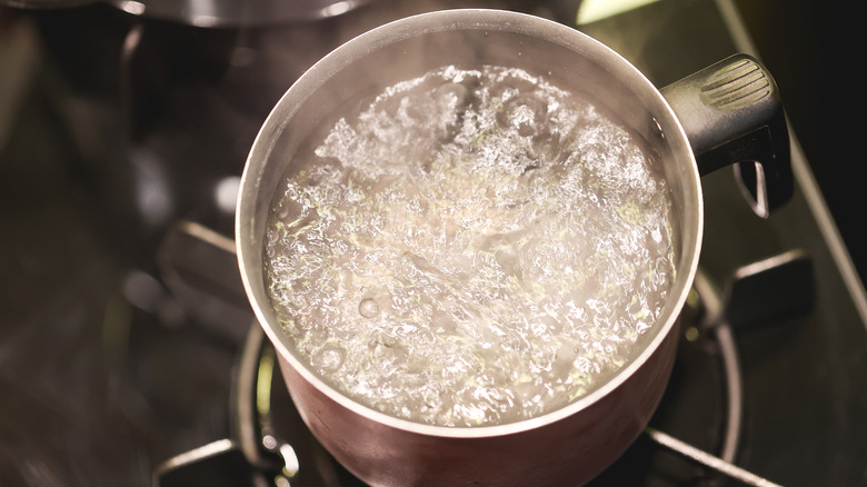 Boiling water on stovetop