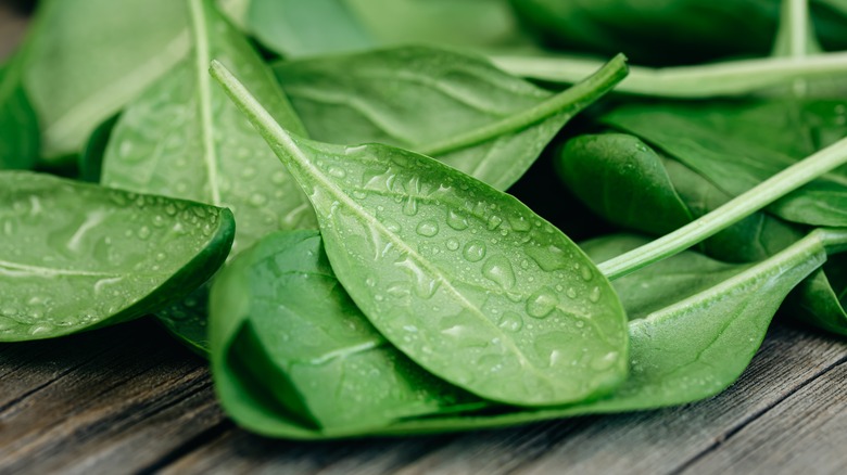 Wet salad greens on a wooden table 