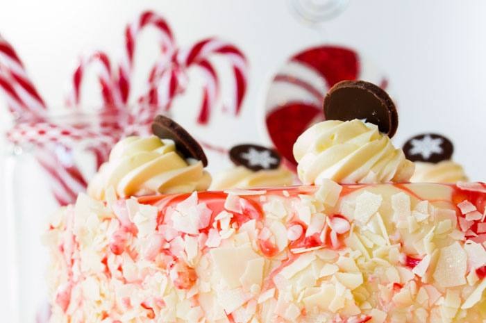 Peppermint Bark Cheesecake