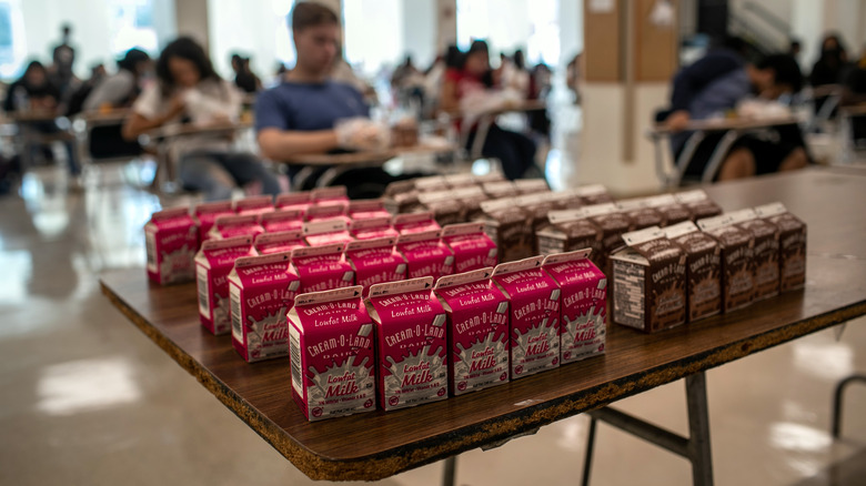 milk cartons on school table