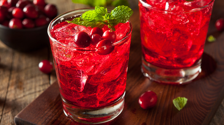 mint and cranberry cocktail