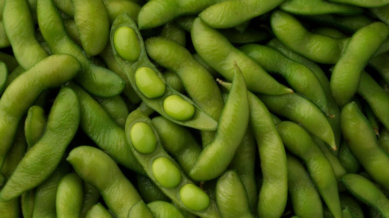 green edamame in pods