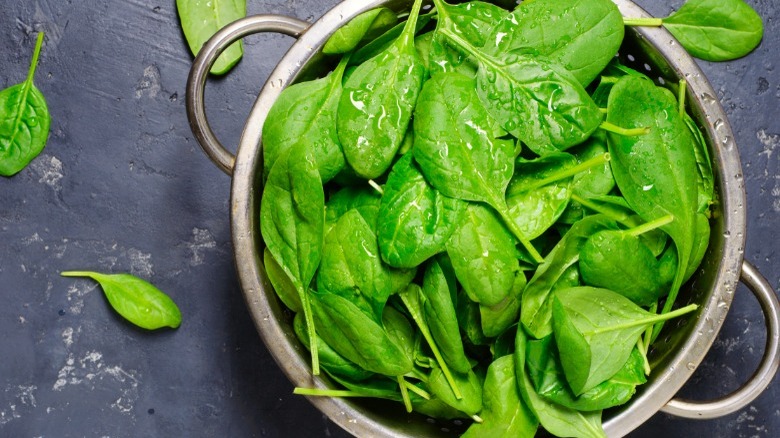 Freshly washed spinach in colander