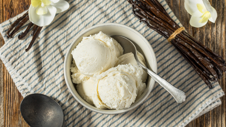 homemade vanilla icecream in bowl