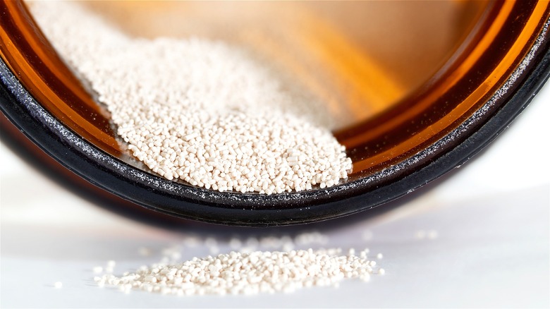 Active yeast spilling out of jar 