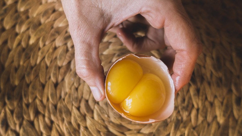 Hand holding a raw egg