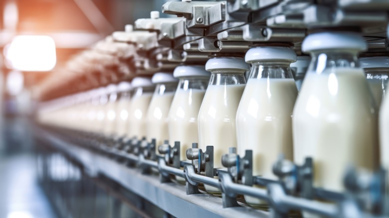 milk bottles being prepared