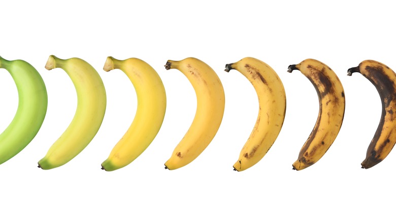 bananas in different stages of ripeness