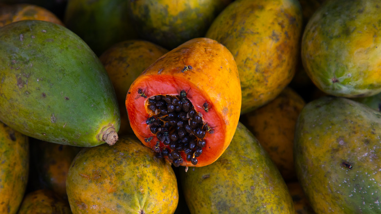 papaya with seeds spilling out