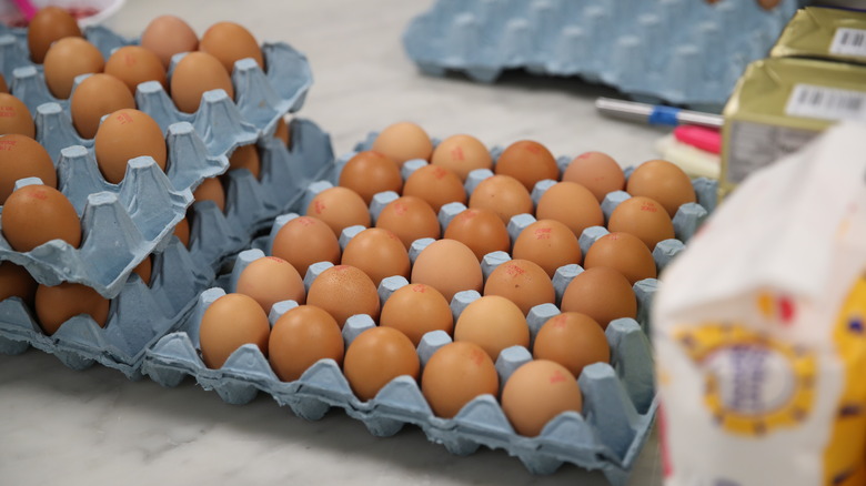 Blue carton of eggs