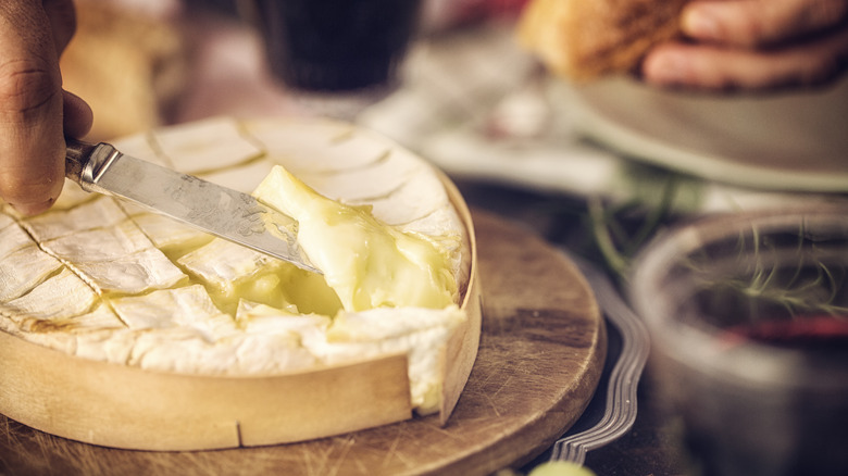 A wheel of camembert cheese