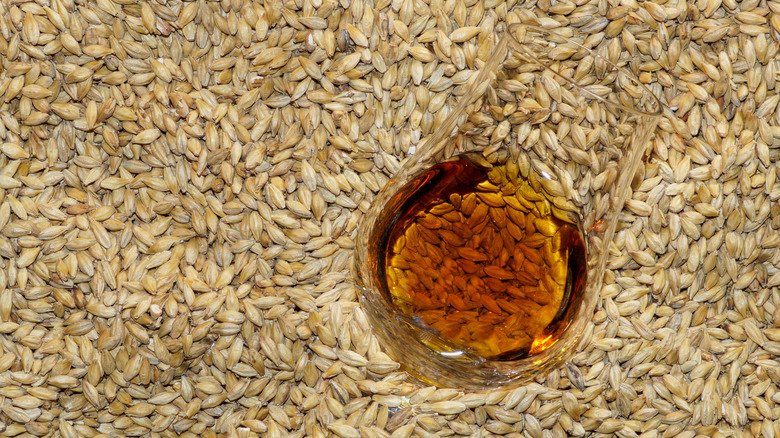 glass of whiskey on barley