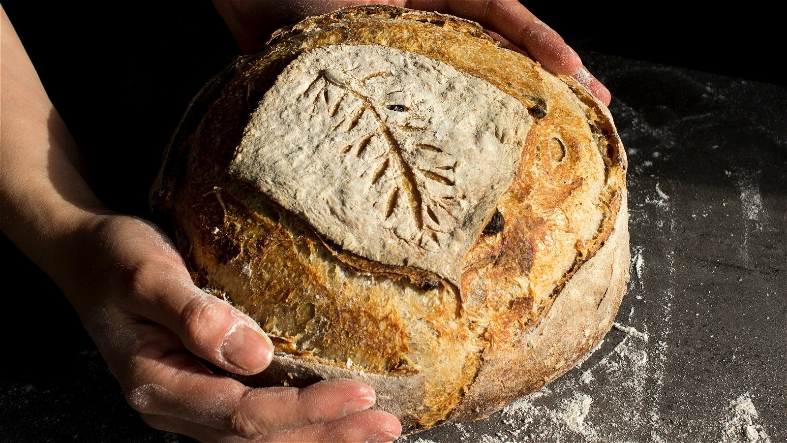 is-sourdough-bread-better-for-you-than-other-bread-varieties