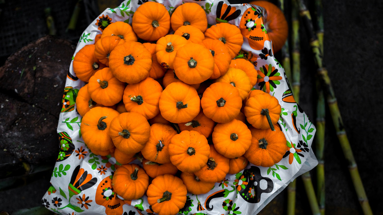 A pile of small pumpkins