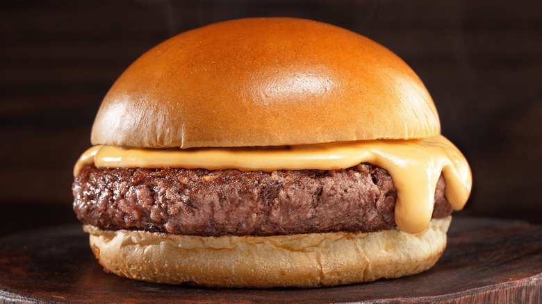 Burger with cheese on bun