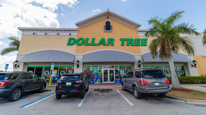 The outside of a Dollar Tree store