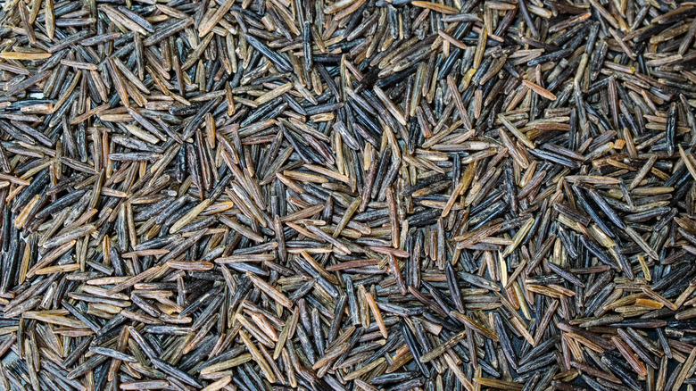 close up of wild rice grains