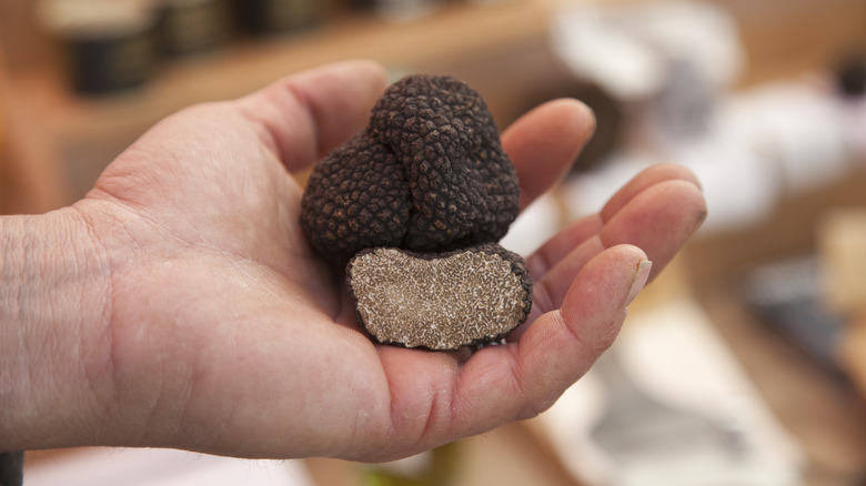 person holding black truffles