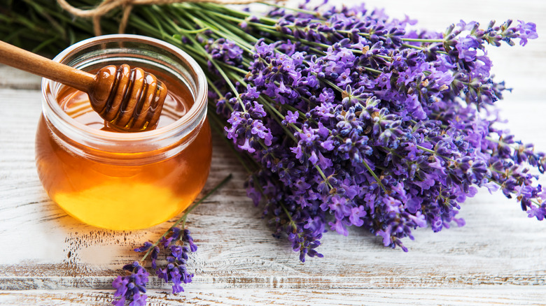 lavender and honey