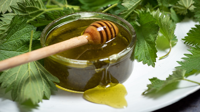 honey with nettle