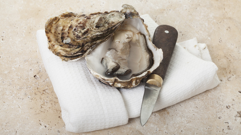 Shucked oyster with knife